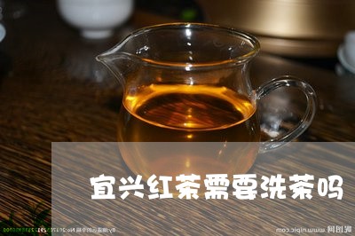 宜兴红茶需要洗茶吗/2023041481483