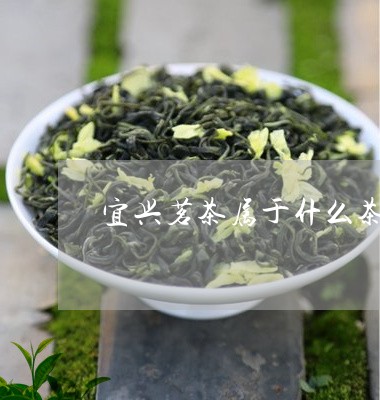 宜兴茗茶属于什么茶/2023031947260