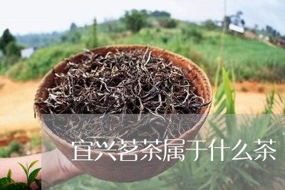 宜兴茗茶属于什么茶/2023041582504