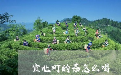 宜北町的茶怎么喝/2023032237059