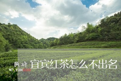 宜宾红茶怎么不出名/2023041593148