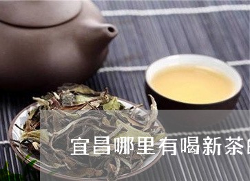 宜昌哪里有喝新茶的/2023032173917