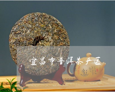 宜昌市普洱茶产区/2023031687482