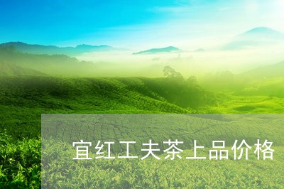 宜红工夫茶上品价格/2023032137381