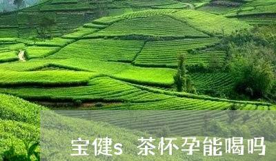 宝健s茶怀孕能喝吗/2023041495859