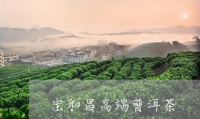 宝和昌高端普洱茶/2023031614835