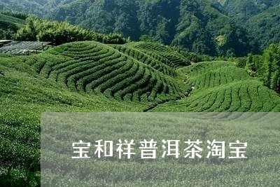 宝和祥普洱茶淘宝/2023040967269