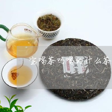 宝喝茶吗喝的什么茶/2023032083470