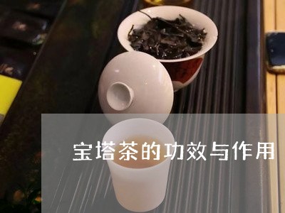 宝塔茶的功效与作用/2023032179692