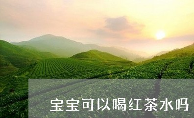 宝宝可以喝红茶水吗/2023031923738