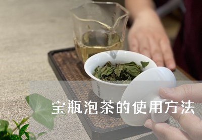 宝瓶泡茶的使用方法/2023032194027