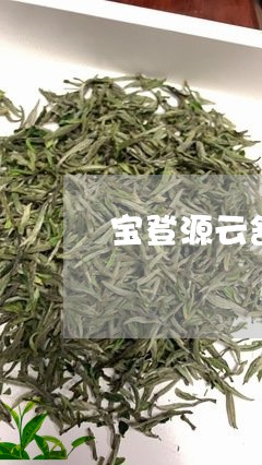 宝登源云舒普洱茶/2023033100403