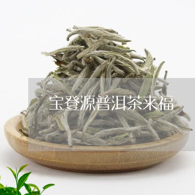 宝登源普洱茶来福/2023031616949