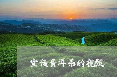 宣传普洱茶的视频/2023031838493