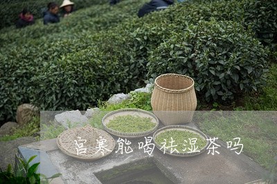 宫寒能喝祛湿茶吗/2023032283615