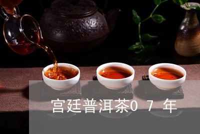 宫廷普洱茶07年/2023041405848