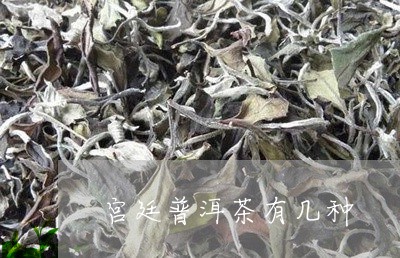 宫廷普洱茶有几种/2023041292039