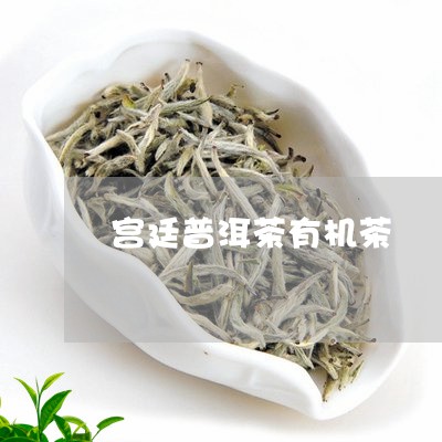 宫廷普洱茶有机茶/2023041054858