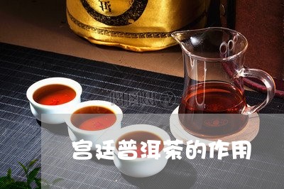 宫廷普洱茶的作用/2023041050595