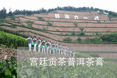 宫廷贡茶普洱茶膏/2023031614949