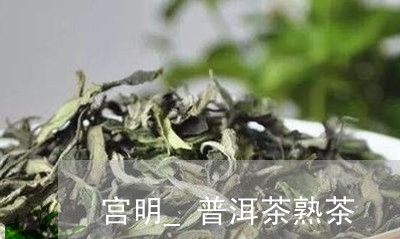 宫明_普洱茶熟茶/2023031526371