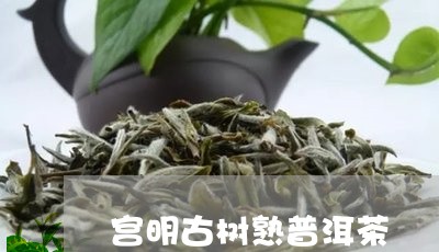 宫明古树熟普洱茶/2023033115847