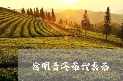 宫明普洱茶代表茶/2023041117381