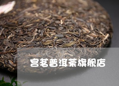 宫茗普洱茶旗舰店/2023040150614