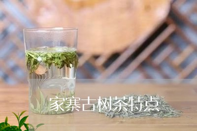 家寨古树茶特点/2023041450581