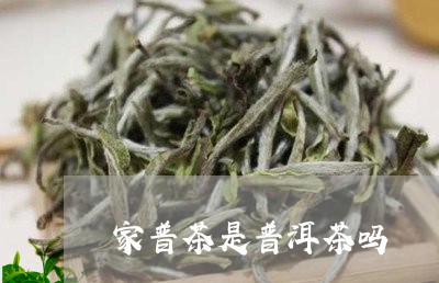 家普茶是普洱茶吗/2023031603825