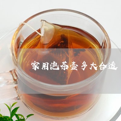 家用泡茶壶多大合适/2023041631495