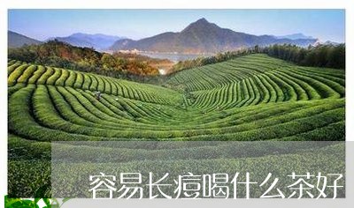 容易长痘喝什么茶好/2023041681604