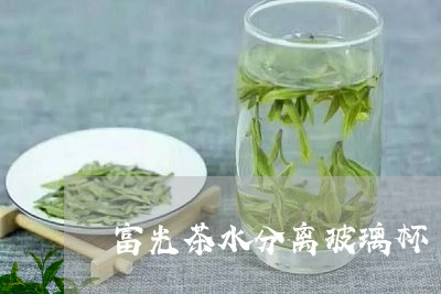 富光茶水分离玻璃杯/2023041532504