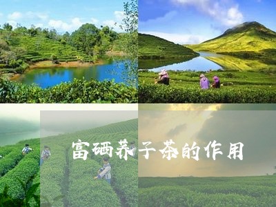 富硒荞子茶的作用/2023032418381