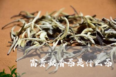 富贵凝香茶是什么茶/2023031993840