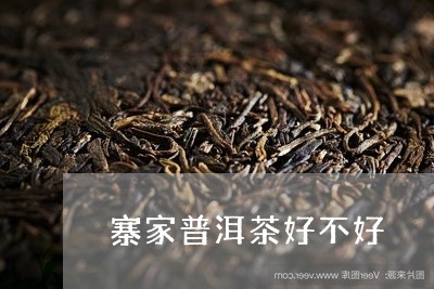 寨家普洱茶好不好/2023033042915