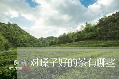 对嗓子好的茶有哪些/2023032000046