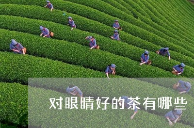 对眼睛好的茶有哪些/2023032070315