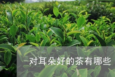 对耳朵好的茶有哪些/2023041533705