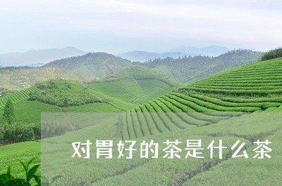 对胃好的茶是什么茶/2023041581804