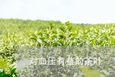 对血压有益的茶叶/2023032758560