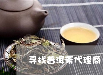 寻找普洱茶代理商/2023033096358