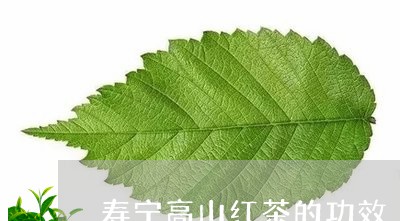 寿宁高山红茶的功效/2023041740614