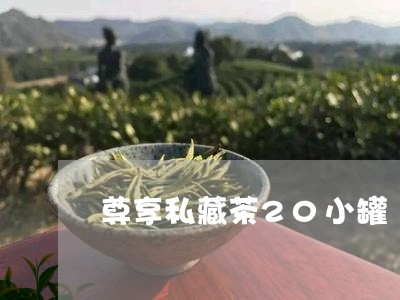 尊享私藏茶20小罐/2023041659383