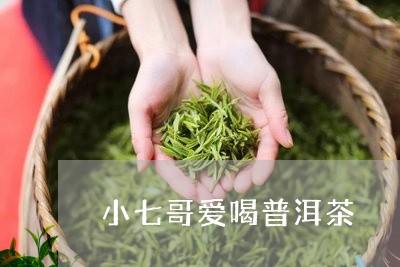 小七哥爱喝普洱茶/2023033073161