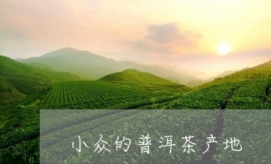 小众的普洱茶产地/2023041196948