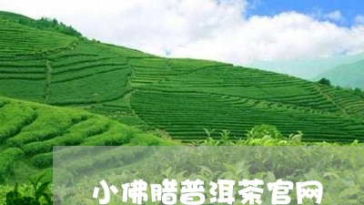 小佛腊普洱茶官网/2023033044805