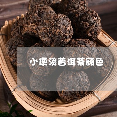 小便淡普洱茶颜色/2023041038148