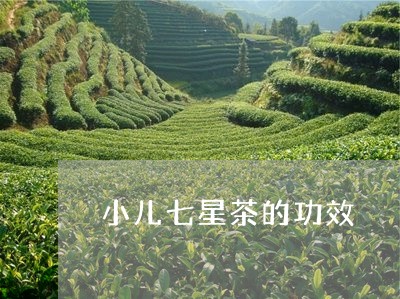 小儿七星茶的功效/2023032581692