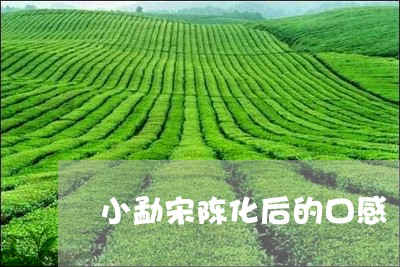 小勐宋陈化后的口感/2023041622716